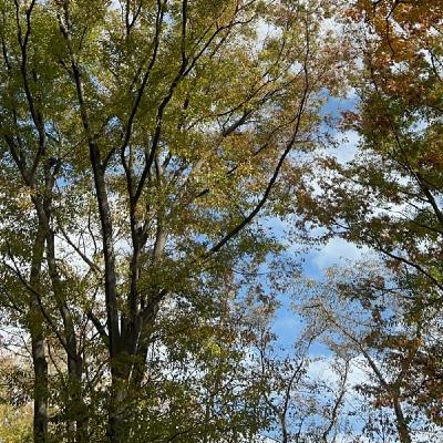 私たちは螺旋階段を昇っている🐉