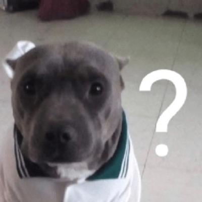 guía no tan practica de cómo mejorar día a día como persona guía no tan practica de cómo mejorar día a día como persona