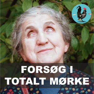 #238: Hvad sker der med hjernen når vi mister sanserne?
