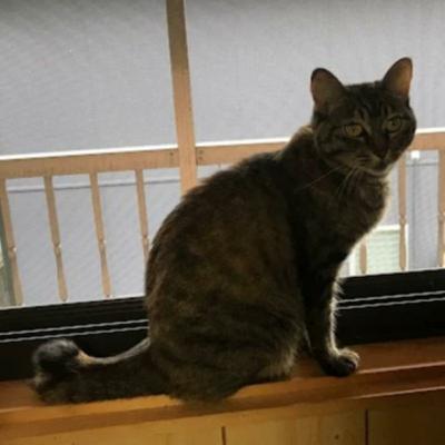 メルマガ×ステップメール×集客＝マネタイズ