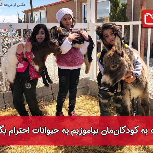چگونه به کودکان‌مان احترام گذاشتن به جانوران را بیاموزیم؟