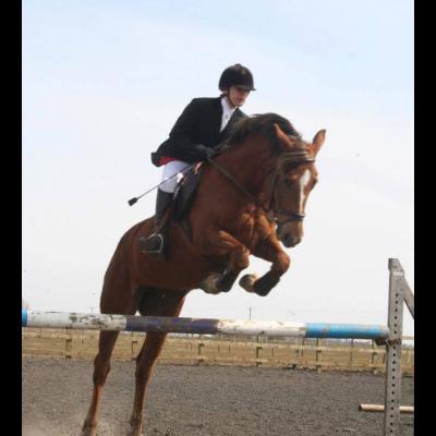 Why Horsemanship from Ginny Why Horsemanship from Ginny