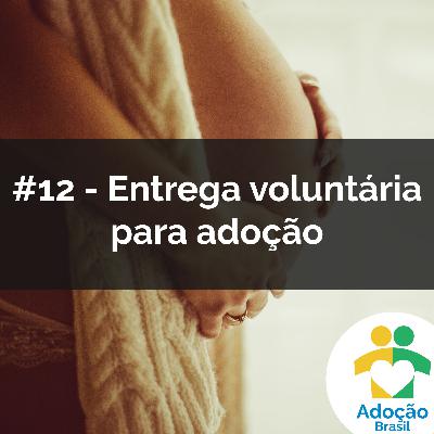#12 - entrega voluntária para adoção