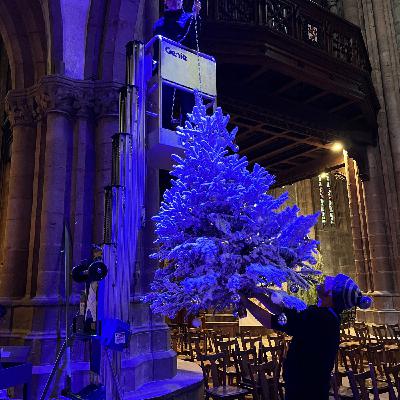 Dans les coulisses de Noël à Sélestat #1 : Les petites mains qui font briller la cité humaniste