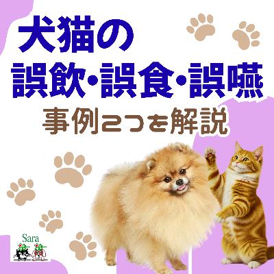 #1049. 子供の事故だけではない！犬猫の誤飲・誤食・誤嚥に注意を🐶🐱