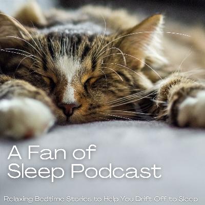 Soothing Brown Noise: 12-Hour Fan Soundscape for Deep Sleep & Relaxation