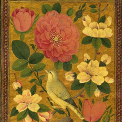 2.3🌹Maneschijn en dorens