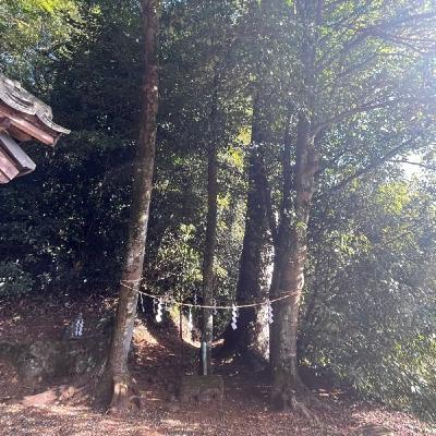 【今週のひとこと】明けましておめでとうございますー🌸エッセンスも紹介も 【今週のひとこと】明けましておめでとうございますー🌸エッセンスも紹介も