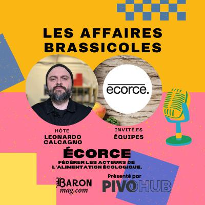 🎙 Les Affaires Brassicoles # 506 | Écorce : renforcer le lien entre producteurs locaux et commerçants indépendants