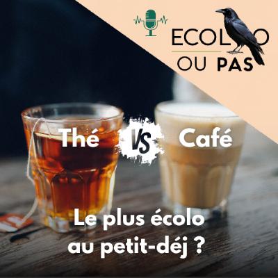 Thé VS Café : le plus écolo au petit-déj ?