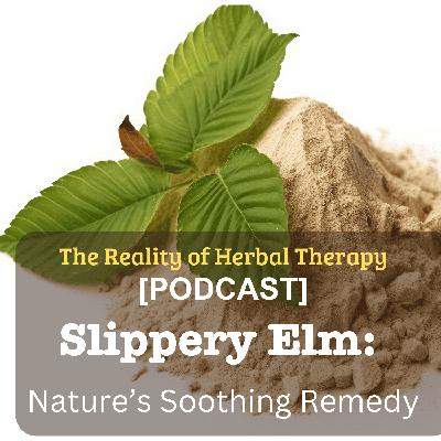 Slippery Elm — Nature’s Soothing Remedy Slippery Elm — Nature’s Soothing Remedy