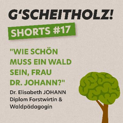 G'SCHEITHOLZ! SHORTS #17 – Wie schön muss ein Wald sein, Frau Dr. Johann?