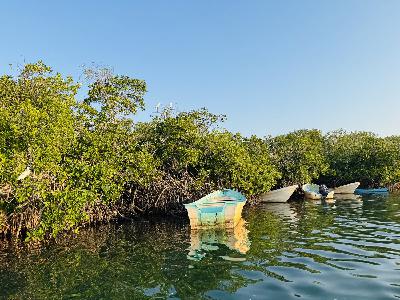 ¡Barra de Potosí, el secreto mejor guardado de la costa de Guerrero!