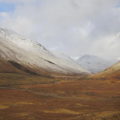 Natürlich gewachsen | 4. Winter is Coming Natürlich gewachsen | 4. Winter is Coming