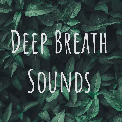 Playa Marlin/The Hotel Zone in Cancun, MX