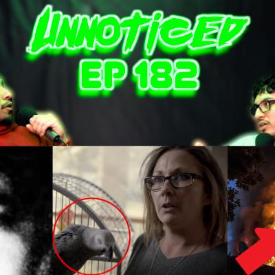 Parrot Solves Murder, A Picture With A Disturbing Backstory & Creepy Twilight Zone Episode!