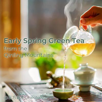 Awakening Spring in a Cup: The Unique Flavors of Qinling Mountain’s Early Spring Green Tea