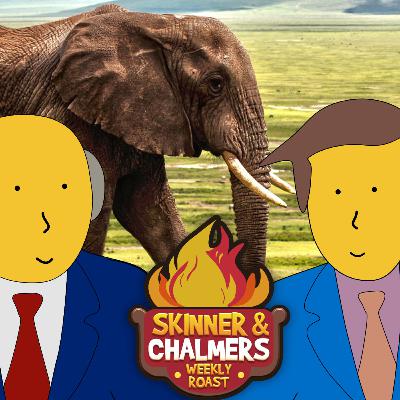 CW7 - The Gentle Giants: Elephants and Their Surprising Role in Nature – Facts and More