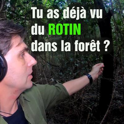 [Ep3] Un jardin de ROTIN dans la JUNGLE !