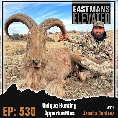 Episode 530: Unique Hunting Opportunities With Jacoba Cordova Episode 530: Unique Hunting Opportunities With Jacoba Cordova