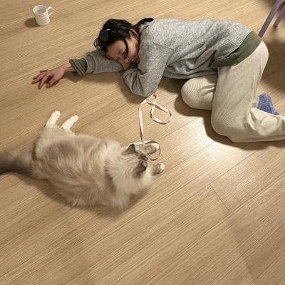 Ep.69 2025ベストバイ‼️おとなのアフィカスクラブ（正直レビュー）