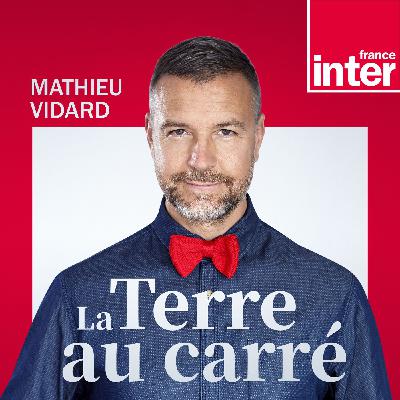 Francis Hallé, l'explorateur des canopées forestières équatoriales