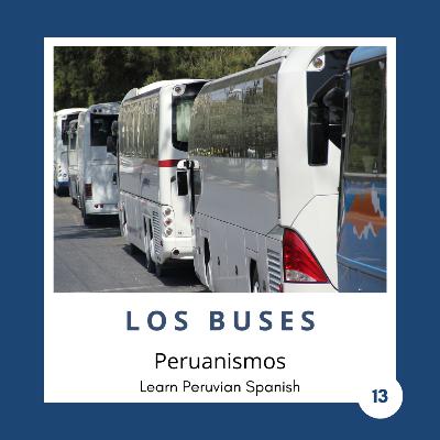 13. Los buses y el sistema de transporte peruano