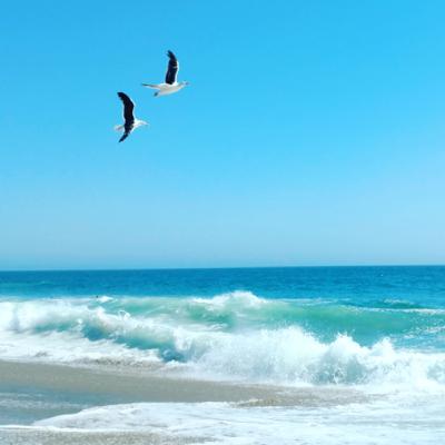 やってみなくちゃ分からない やってみなくちゃ分からない