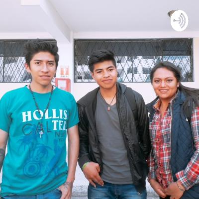 Grupo 8 Algebra lineal