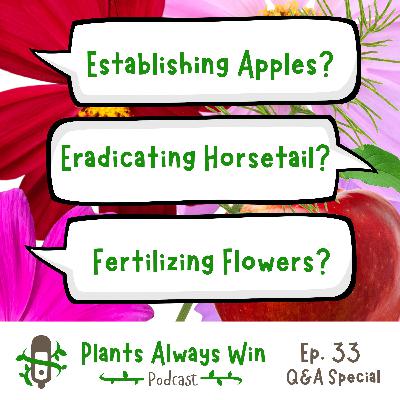 Ep. 33 Establishing Apples, Eradicating Horsetail & Fertilizing Flowers