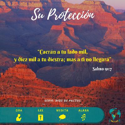 Su Protección