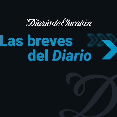 Las breves del Diario - 25 noviembre
