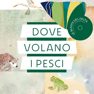 Dove volano i pesci - Trailer