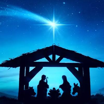 Ddtt Especial Navidad 2024