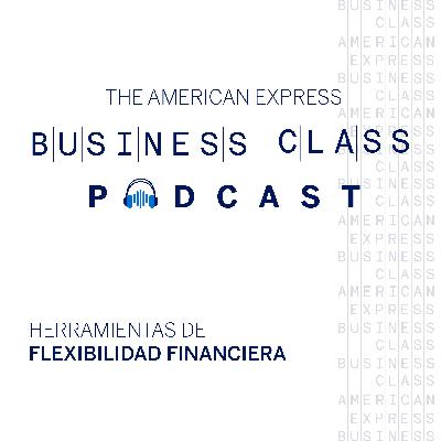 Herramientas de Flexibilidad Financiera