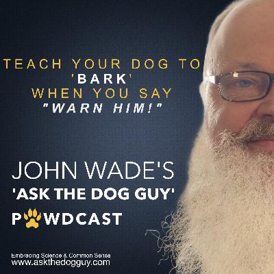 Teaching A Dog Or Puppy To ’Warn Him’ (Bark) On Command As A Trick Teaching A Dog Or Puppy To ’Warn Him’ (Bark) On Command As A Trick
