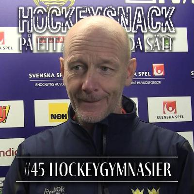 #45 Hockeygymnasier med Mikael Rundgren