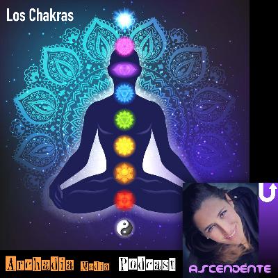 18 | Los Chakras 18 | Los Chakras