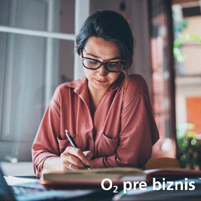 Živnosť alebo s.r.o? Záleží aj od toho, koľko peňazí potrebujete mesačne na život