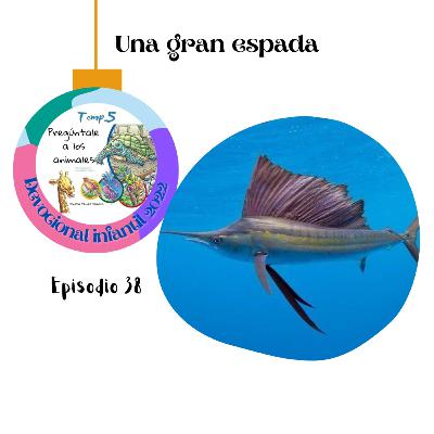 Episodio 38. Una gran espada 🗡️