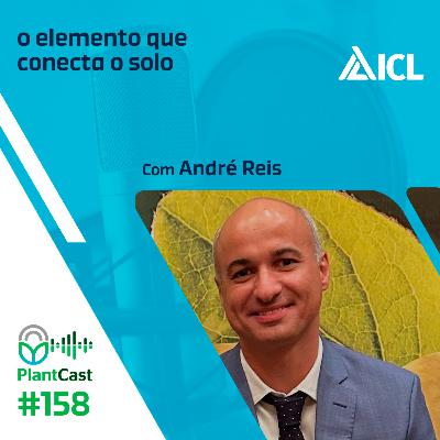 Plantcast #158 Selênio: o elemento que conecta o solo