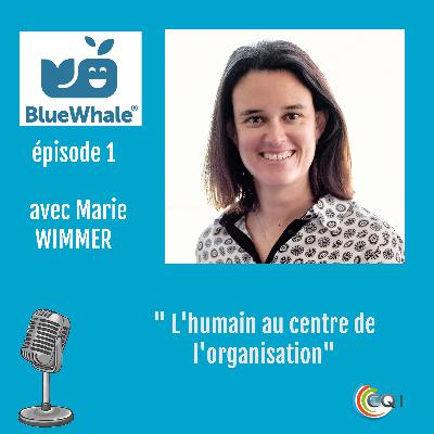 BLUE WHALE, l’humain au cœur de l’organisation.