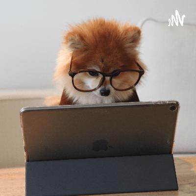 Keep safe on the internet