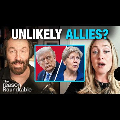 Why Elizabeth Warren and Donald Trump Hate the Netflix Deal