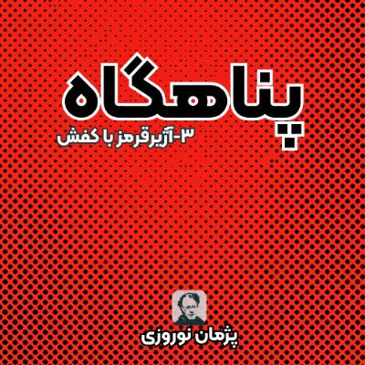 آژیرقرمر با کفش