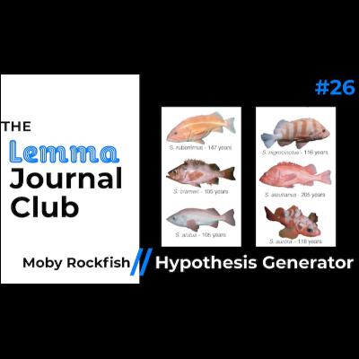 Moby Rockfish // The Hypothesis Generator [26]