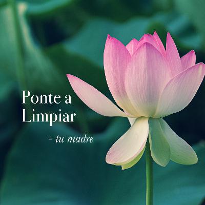 S2 Ep8: Ponte a Limpiar