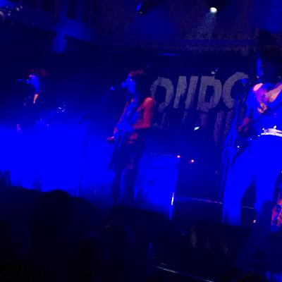 The Lemon Twigs are the best band on earth.