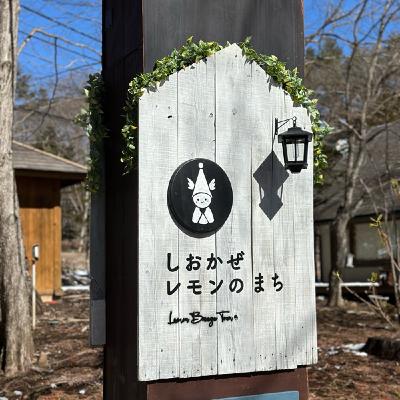 #473 3月15日ショップオープンします🍋
