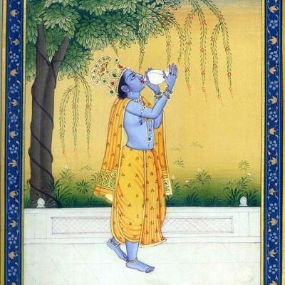 La Caída de Saubhari Muni.